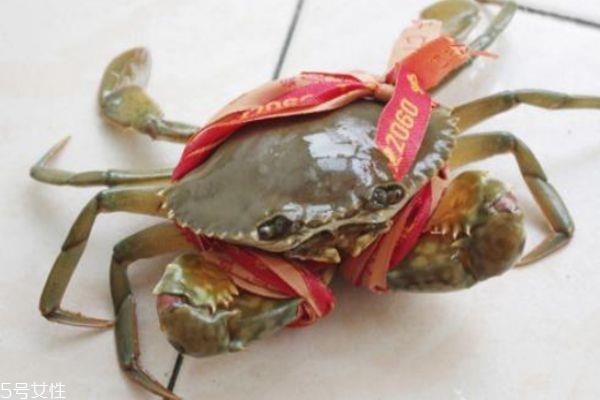 三门青蟹什么时候上市 三门青蟹的特点 三门青蟹什么时候上市 三门青蟹的特点