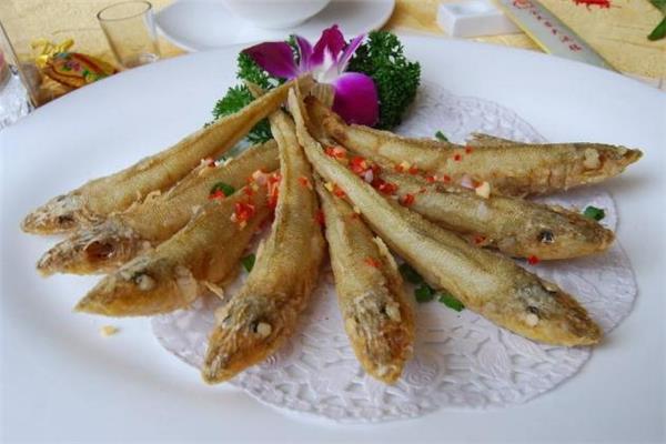 沙丁鱼是海鱼吗 沙丁鱼是发物吗 沙丁鱼是海鱼吗 沙丁鱼是发物吗