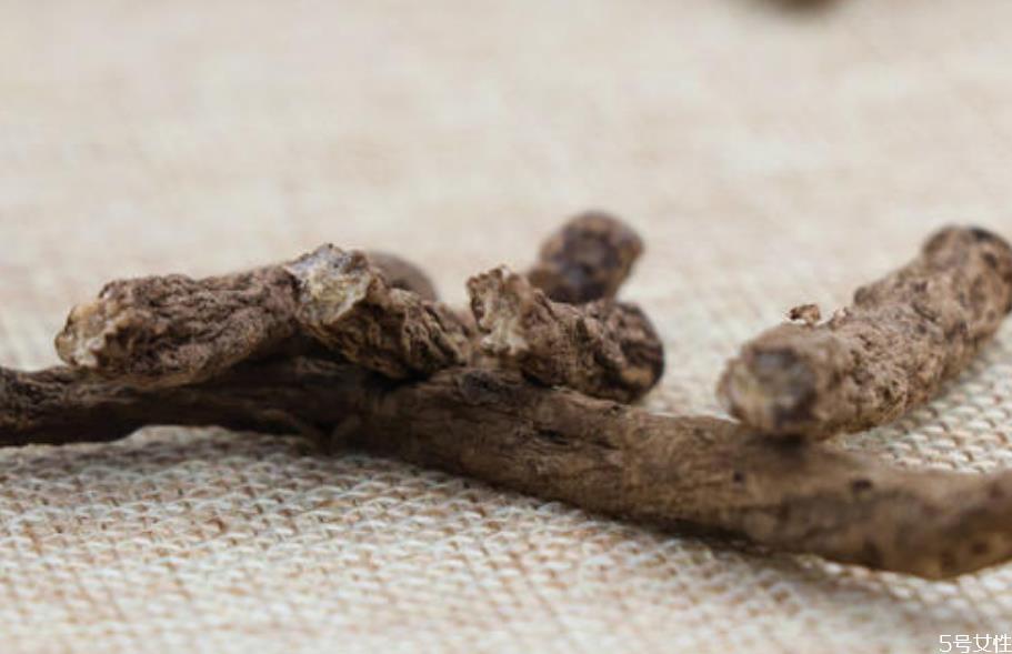 仙茅泡酒可以泡几次 仙茅泡酒的功效 仙茅泡酒可以泡几次 仙茅泡酒的功效