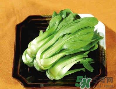 油菜可以包饺子吗?油菜怎么包饺子呢 油菜可以包饺子吗?油菜怎么包饺子呢