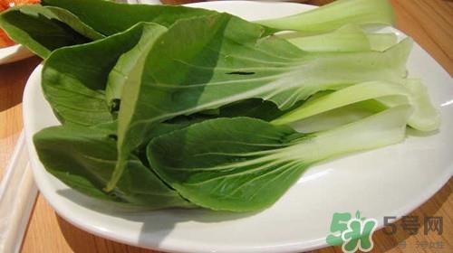 油菜可以包饺子吗?油菜怎么包饺子呢 油菜可以包饺子吗?油菜怎么包饺子呢