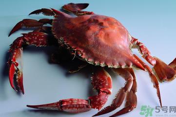 海蟹可以冷冻保存吗?海蟹冷冻能保存多久? 海蟹可以冷冻保存吗?海蟹冷冻能保存多久?