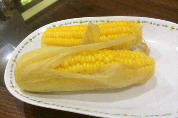 一天适合吃几根玉米 玉米吃多了会怎样 一天适合吃几根玉米 玉米吃多了会怎样
