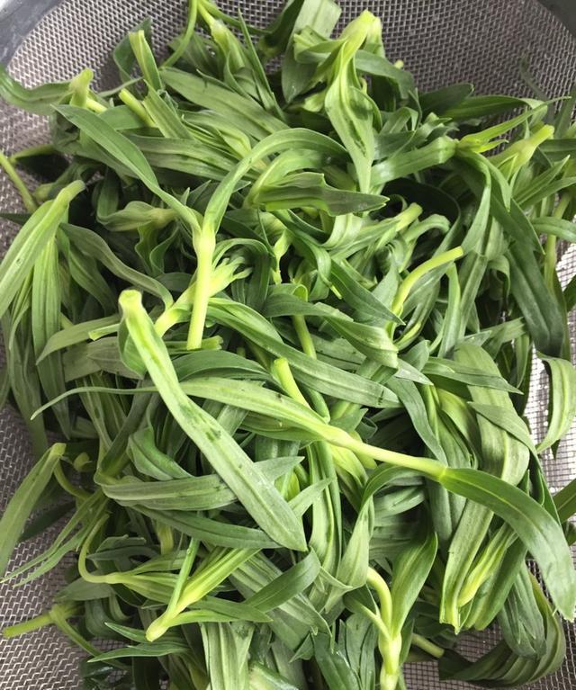 又是一年荠菜时,你会辨别荠菜吗?