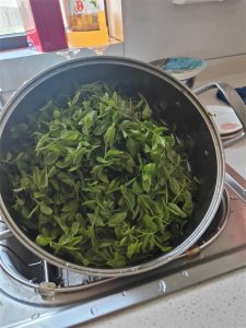 ​自制酸枣叶茶