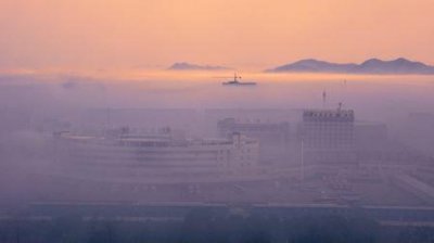 ​成为世界上最大的淡水鱼一年后，湄公河巨型黄貂鱼，谜团被揭晓