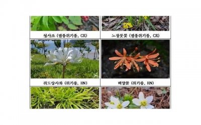 ​相亲怎么聊天可以提升两人的关系？教你几招迅速拉近相亲关系！
