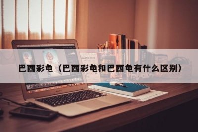 ​巴西彩龟（巴西彩龟和巴西龟有什么区别）