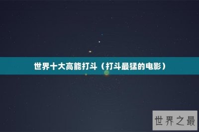 ​世界十大高能打斗（打斗最猛的电影）