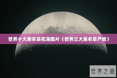 ​世界十大熏衣草花海图片（世界三大薰衣草产地）