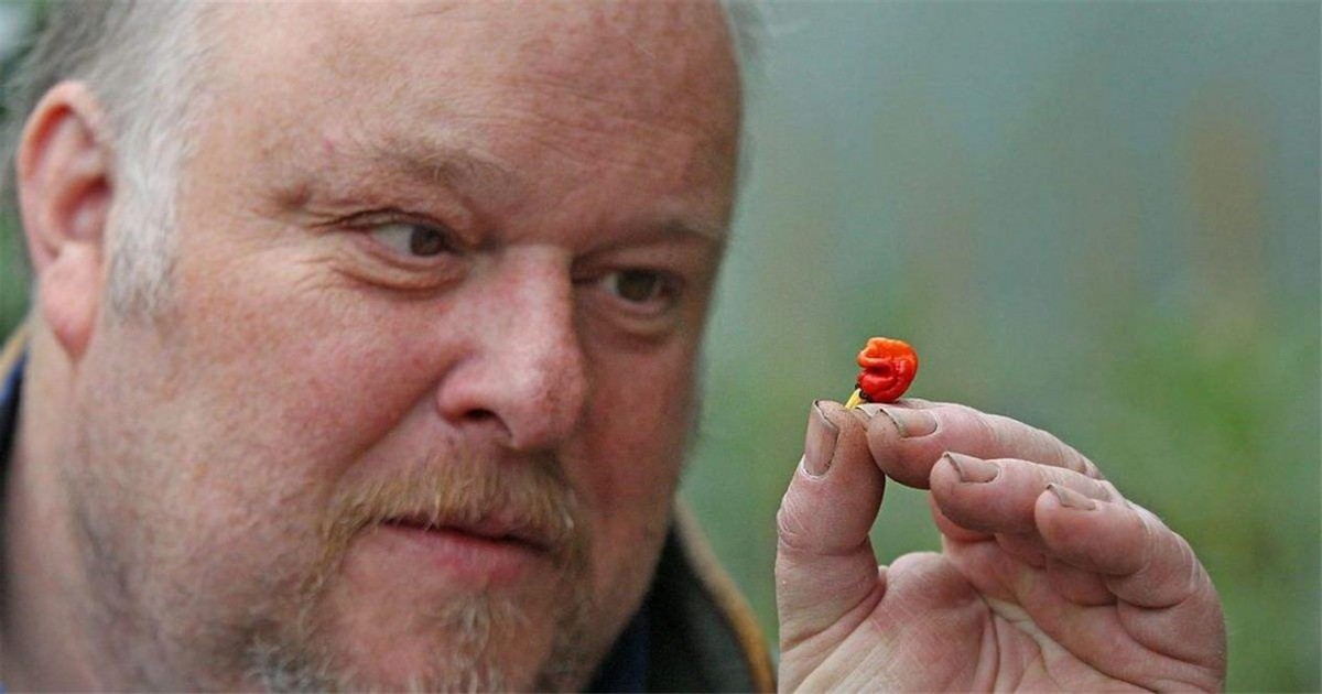世界上最辣的十大辣椒，印度魔鬼椒被秒成渣，你敢不敢尝一尝？