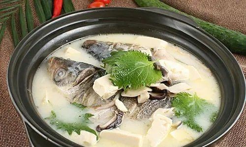 鱼头豆腐汤用什么鱼头,鱼头豆腐汤用的是大鱼头 还是草鱼头呢图6