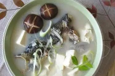 鱼头豆腐汤用什么鱼头,鱼头豆腐汤用的是大鱼头 还是草鱼头呢图3