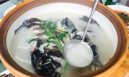 鱼头豆腐汤用什么鱼头,鱼头豆腐汤用的是大鱼头 还是草鱼头呢图5