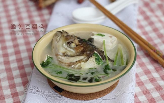 鱼头豆腐汤用什么鱼头最好