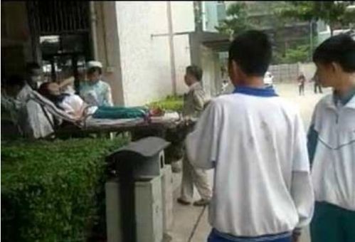 女生上技校有哪些技术：女孩上技校靠谱么？学什么技术好