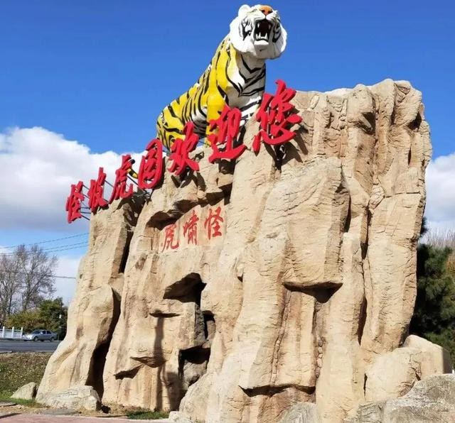 世界未解之谜沈阳怪坡（辽宁沈阳有一座神秘怪坡）(2)