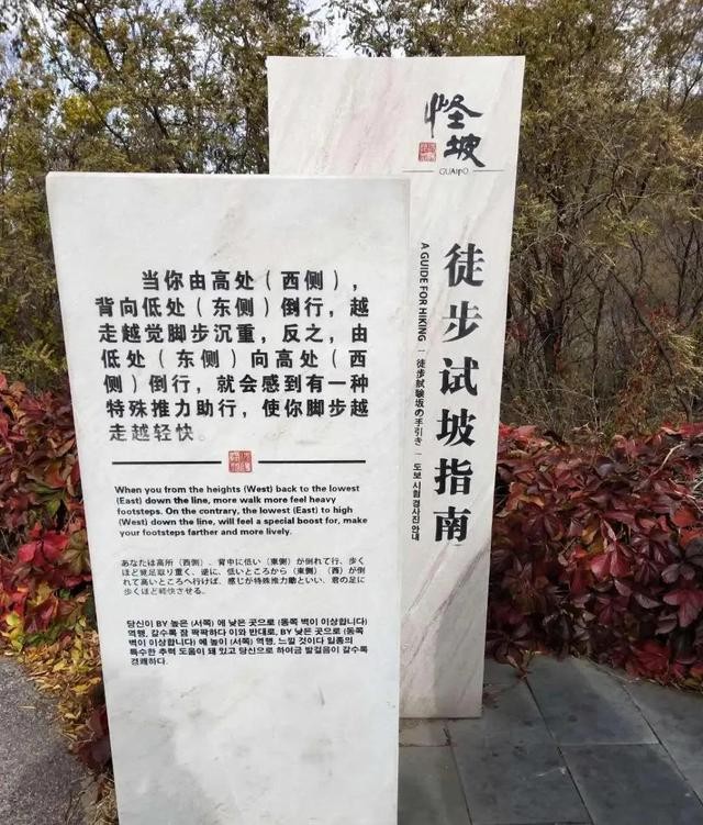 世界未解之谜沈阳怪坡（辽宁沈阳有一座神秘怪坡）(6)