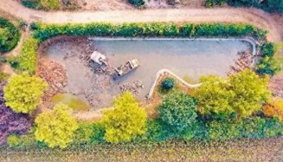 ​秦岭超大违建别墅是谁建的？200多件文物都是哪来的？
