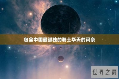 ​包含中国最孤独的骑士华天的词条