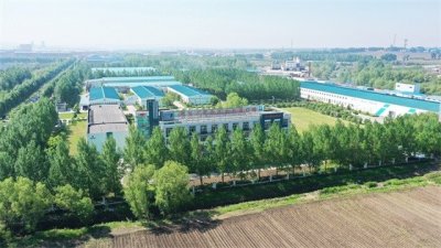 ​黑龙江宾西集团股份有限公司简介
