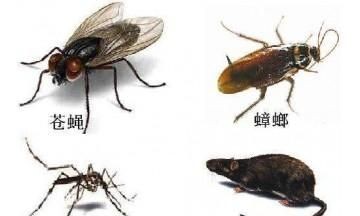 老四害是哪四害