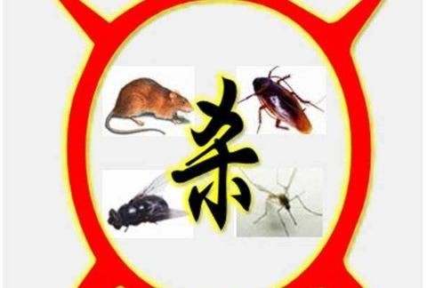 四害是哪四害，四害是哪四害？图1
