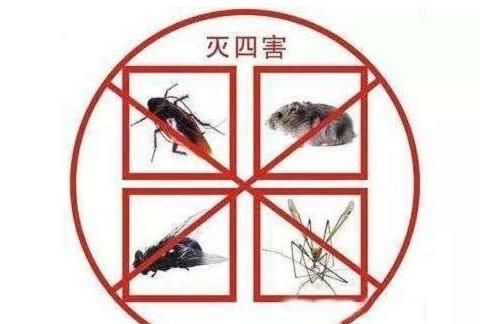 四害是哪四害，四害是哪四害？图2