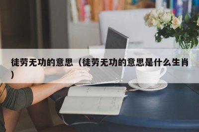 ​徒劳无功的意思（徒劳无功的意思是什么生肖）