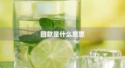 ​回款是什么意思