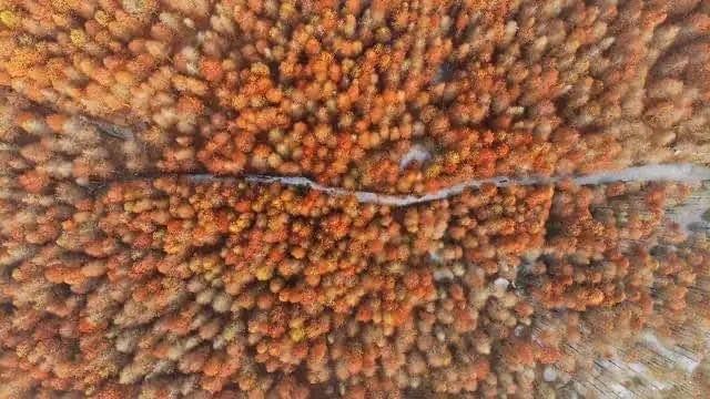 安徽热门的自驾公路,被誉为小川藏线,江浙沪人最爱自驾的地方