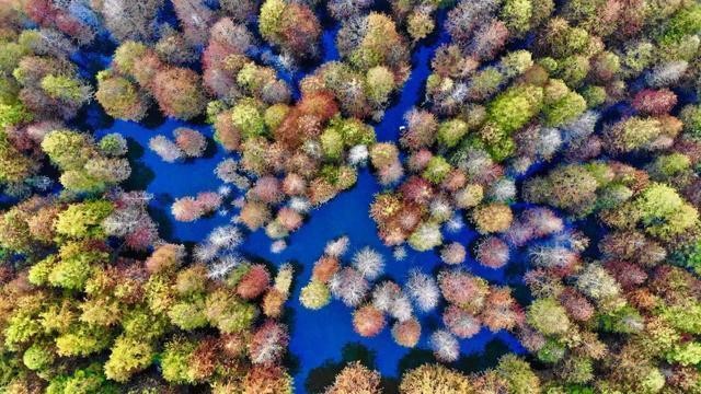 安徽热门的自驾公路,被誉为小川藏线,江浙沪人最爱自驾的地方