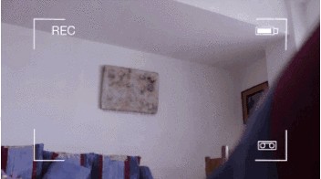 尼斯湖水怪之谜的真相(尼斯湖水怪可能真的存在)(3)