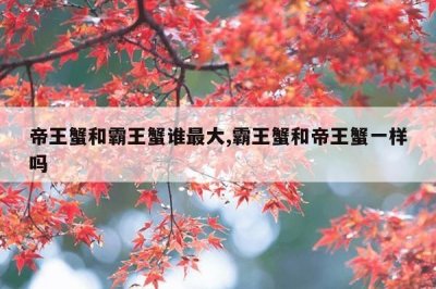 ​帝王蟹和霸王蟹谁最大,霸王蟹和帝王蟹一样吗