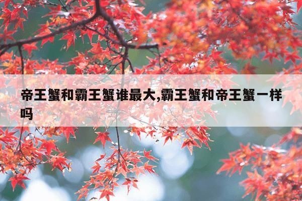 帝王蟹和霸王蟹谁最大,霸王蟹和帝王蟹一样吗