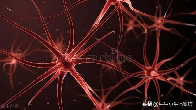 病毒为什么会使人生病（为什么有病毒）