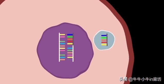 病毒为什么会使人生病（为什么有病毒）