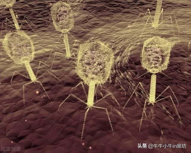 病毒为什么会使人生病（为什么有病毒）