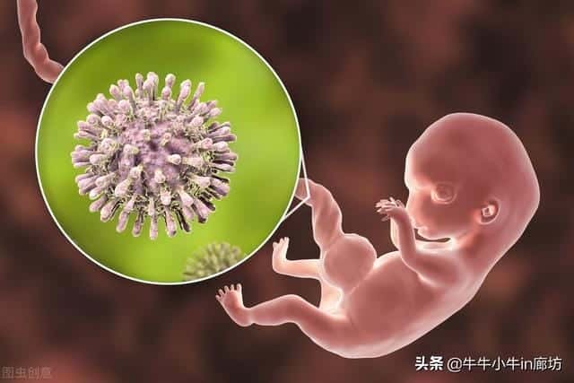 病毒为什么会使人生病（为什么有病毒）
