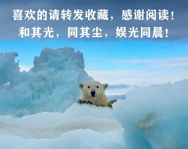 牛萌萌李小璐合作过什么（牛萌萌与韩庚传出）(37)