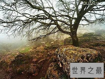 全球十大四季如春的旅游地,每一个都是天堂般的存在。