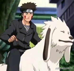 ​火影忍者资料：犬冢牙