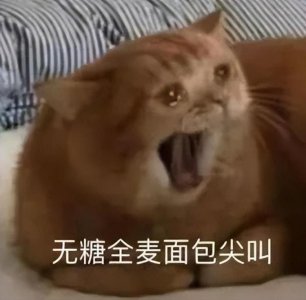 ​重磅天津将开通一条地铁新线路已开始空载试运营