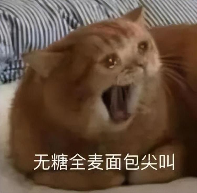 重磅天津将开通一条地铁新线路已开始空载试运营