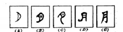 ​月字的来历，月字的来历？