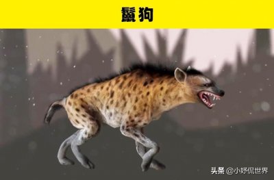 ​世界咬合力最强的动物（拥有强大咬合力的10种动物）