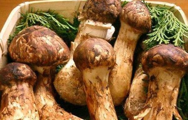 世界上最贵的十道菜, 一道菜在中国居然摆摊卖