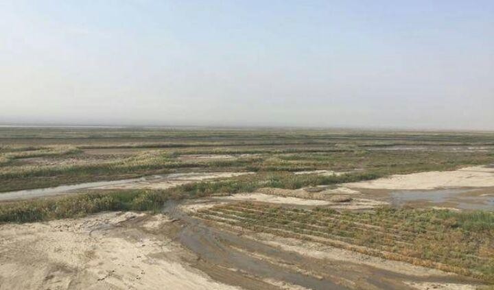 中国陆地最低点(我国陆地最低点是哪里)