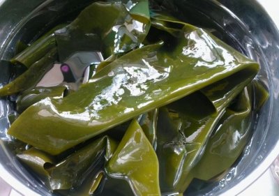 ​干海带最简单的泡发方法（干海带的正确泡发方法）