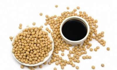 ​脱脂大豆是什么意思，脱脂黄豆什么意思？
